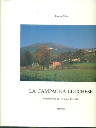 Campagna lucchese bellato - lucchese,