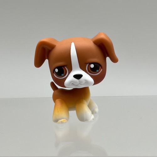 Autentico littlest pet shop - littlest,