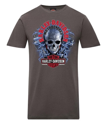 Harley davidson shirt - harley-davidson®, t-shirt