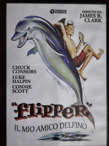 Flipper mio amico - flipper, delfino