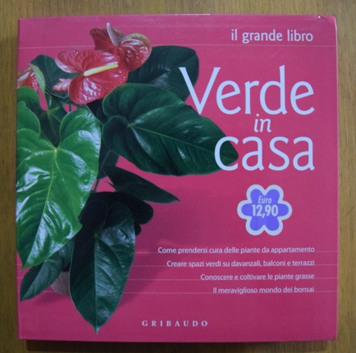 Verde casa il grande - in, casa.