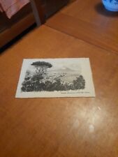 CARTOLINA NAPOLI PANORAMA DA VILLA PATRIZI N0N VG