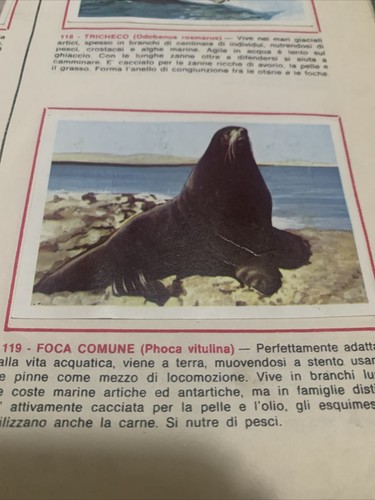Figurina 119 animali - 119, ed