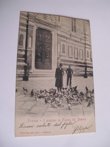 Firenze piccioni in piazza - firenze,