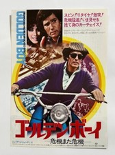 Movie Flyer Troppo rischio per