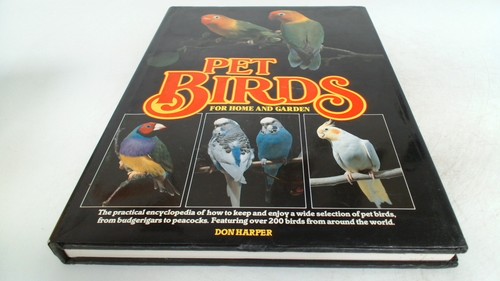Pet birds for home - birds,