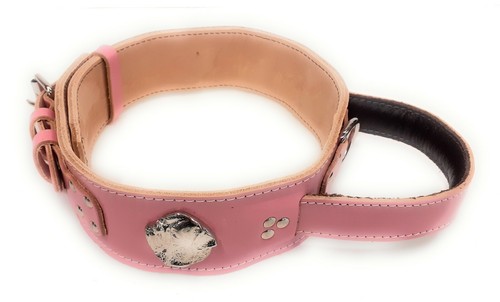 Collare per cani - , rosa