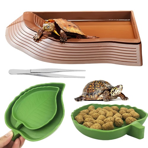 Set ciotole per - set,