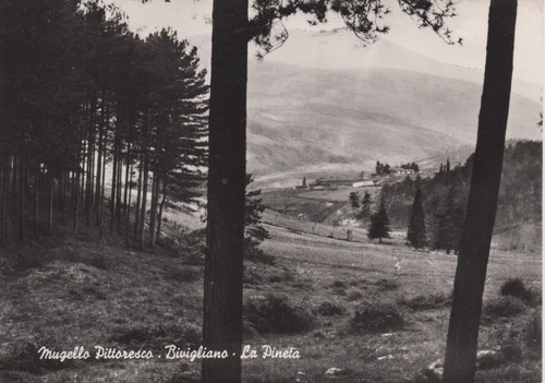 Cartoline toscana mugello - cartoline-toscana-,
