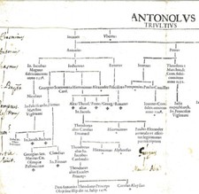 Albero genealogico dei nobili