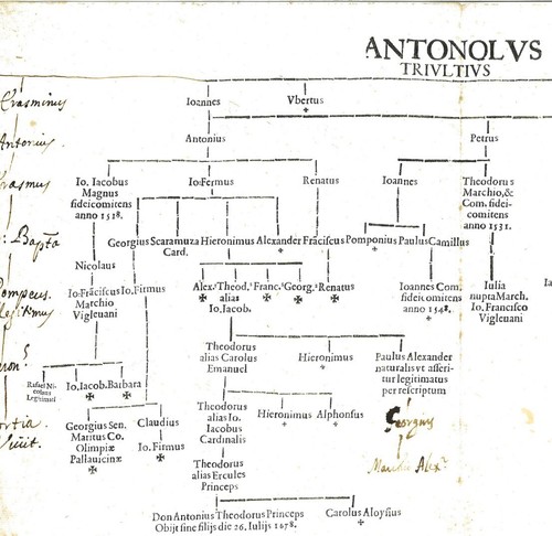 Albero genealogico dei - , nobili