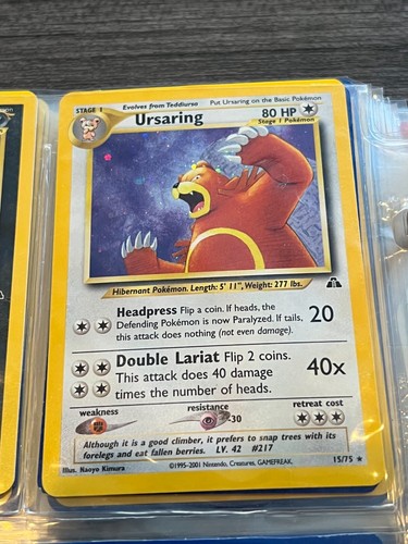 Ursaring holo rare - holo, neo