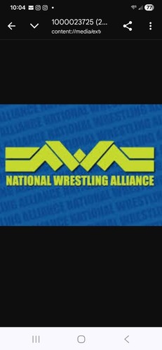 Nwa wrestling best 1989 - nwa,