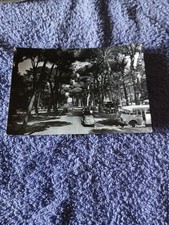 Cartolina fregene 1955 - cartolina,