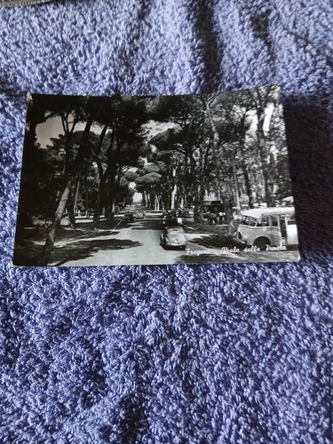 Cartolina fregene 1955 - fregene,