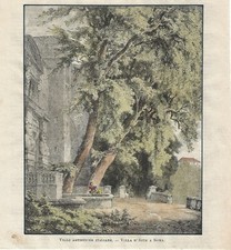 Stampa antica TIVOLI scorcio