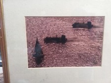 Hovercraft framed Royal