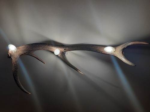 Lampadario vero corno - lampadario,