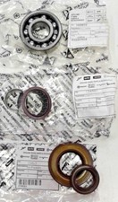 Kit cuscinetti paraoli - cuscinetti, e