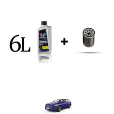 Kit filtro olio e 6L per Ford