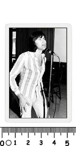 Calamita cantante famoso - cantante, x