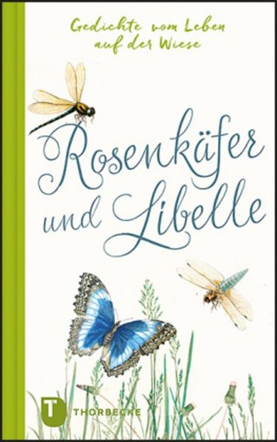 Rosenkäfer und libelle - rosenkäfer,