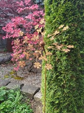 Ruota eolica in acciaio inox prato fiorito mulino a vento giardino ruggine sp...