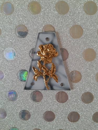 Truss rod cover for jackson - ,