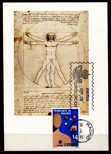 Vinci proporzioni di - da,