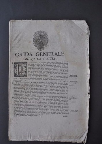Diritto grida caccia armi - caccia,