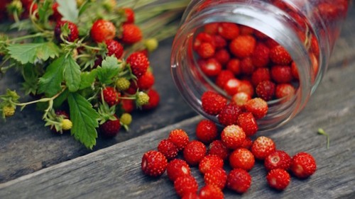 Fragole fragoline bosco - fragole,