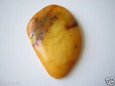 Pietra Di Ambra Butterscotch Lucidata Non Perforata 9,2 G