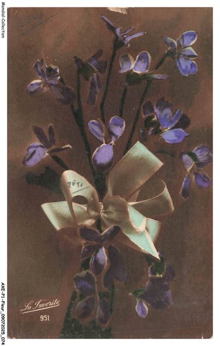 Axep1 0038 fleur - -, bouchet