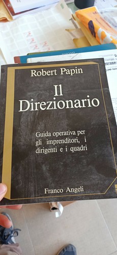 Direzionario guida - il,