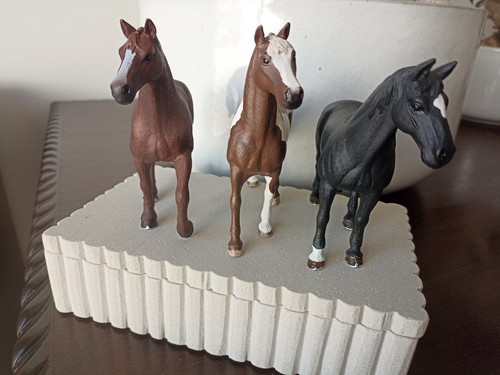 Hanoverian horse family - hanoverian,