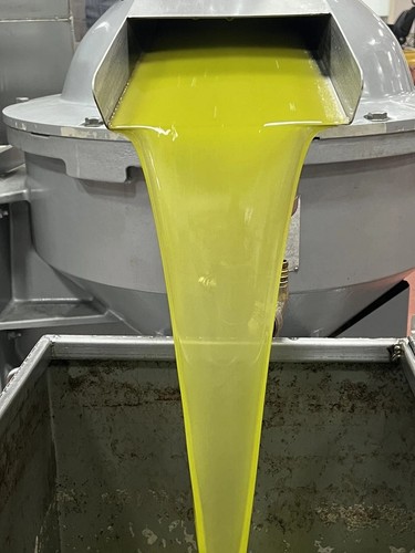 Olio extravergine oliva - extravergine, di
