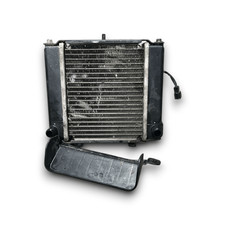 Radiatore kymco people 300 (2010 > 2017)