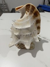 Lampada artigianale in vera