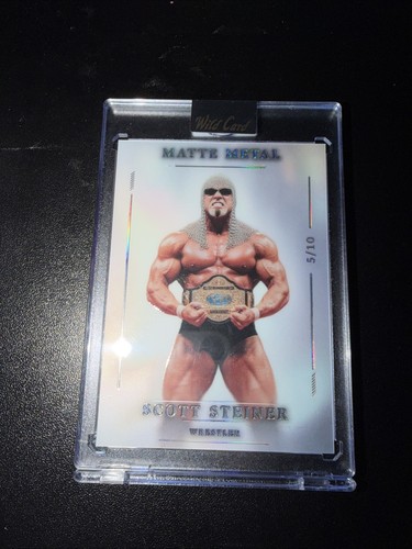 2026 wild card metallo - wild,