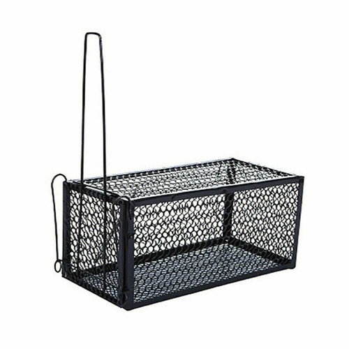Gabbia trappola per topi ratti - trappola,