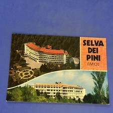 SELVA DEI PINI LA SANTONA - Cartolina Vintage a Colori