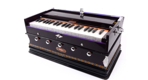 Bina standard harmonium - bina,