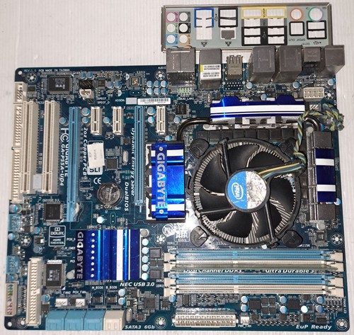 Scheda madre gigabyte - scheda,
