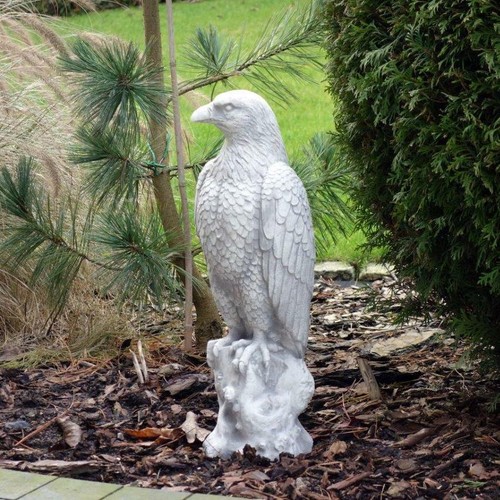 Aquila aquila reale uccellino