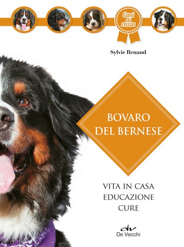 Bovaro bernese renaud sylvie - bovaro,