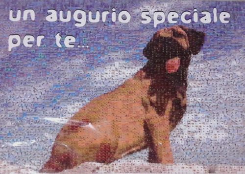 Biglietto auguri compleanno - biglietto, di