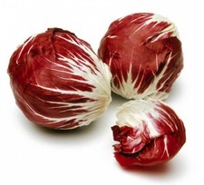 RADICCHIO * PALLA ROSA *