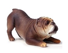 Bulldog marrone cane animale