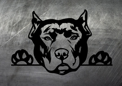 Adesivo pitbull cane - cane,