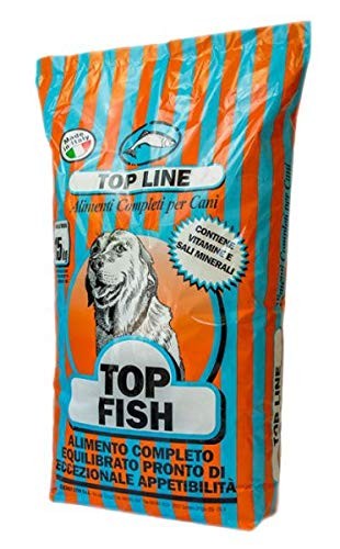 Top energy fish - energy,